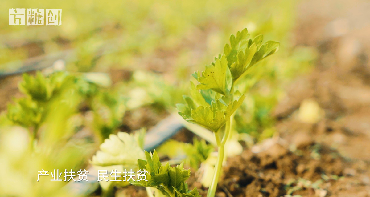 影視廣告