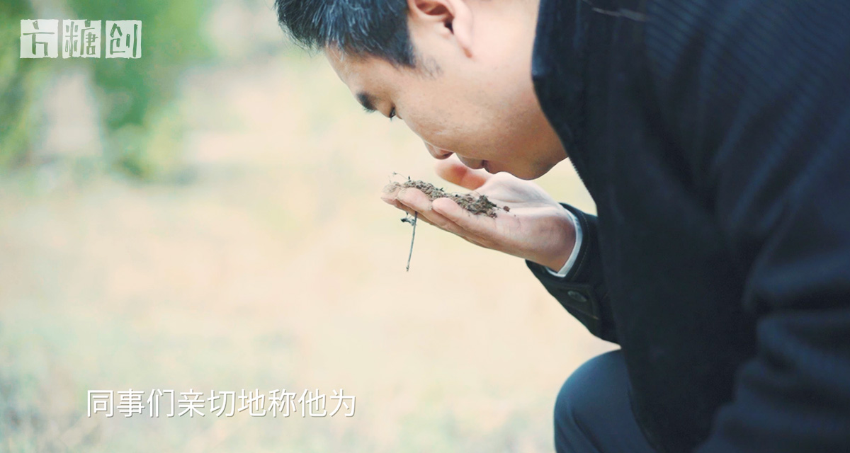 影視廣告