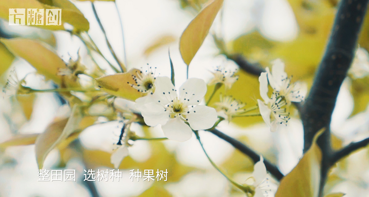 影視廣告